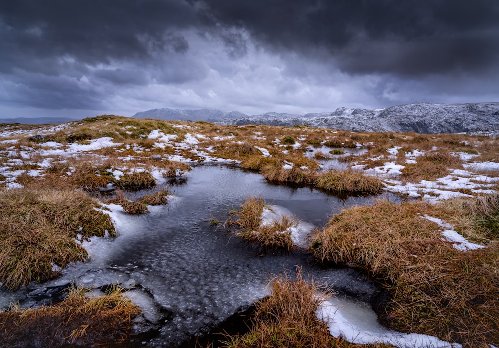 a small stream running through a snow covered field