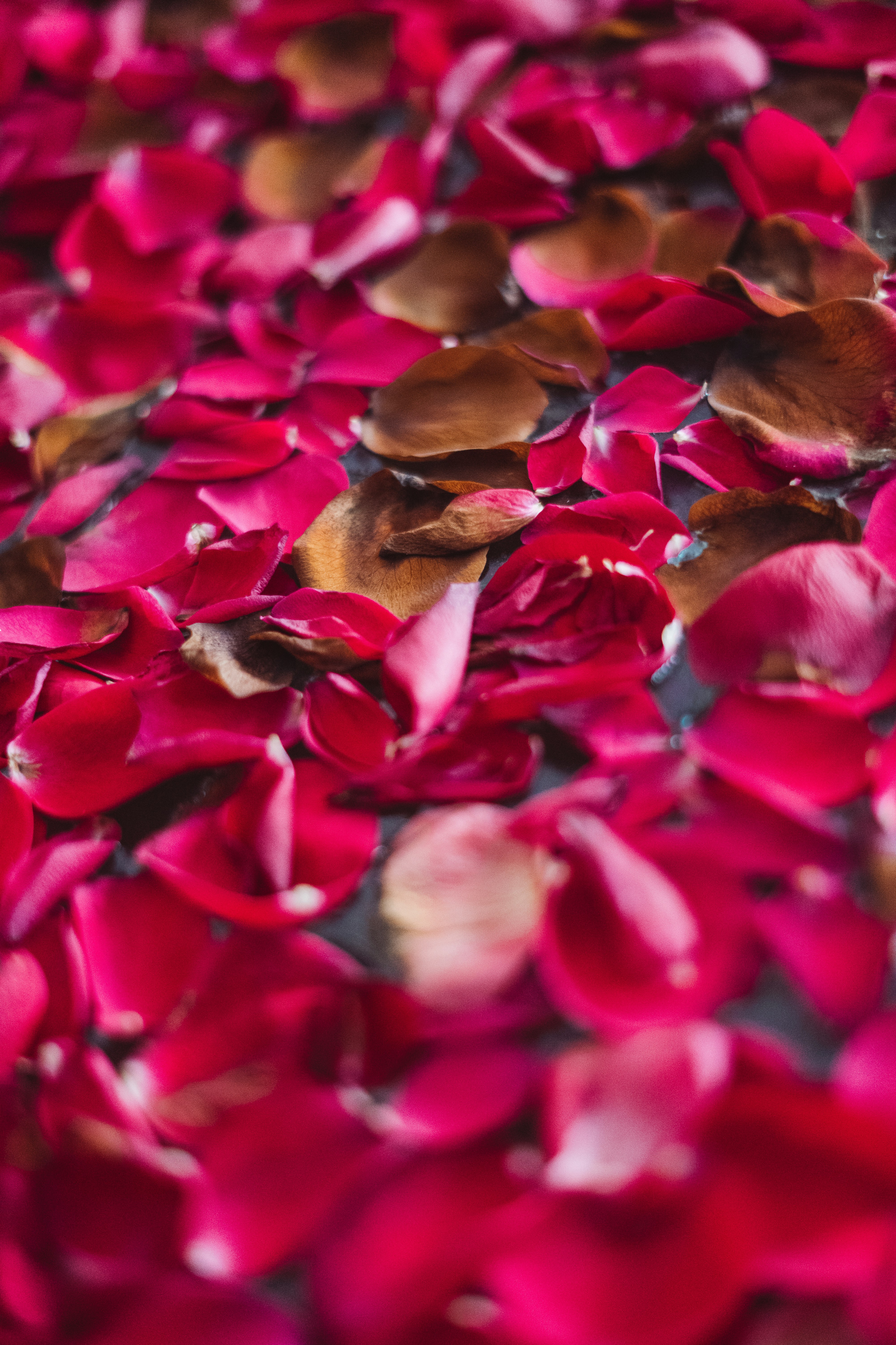 Photo by singhrupinder