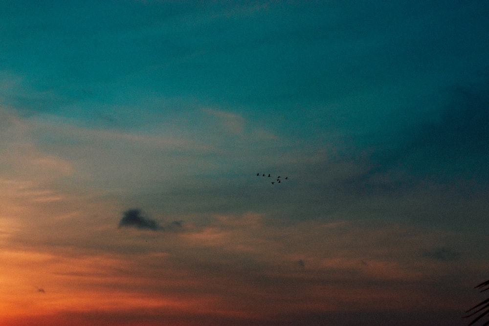 a group of birds flying in the sky at sunset