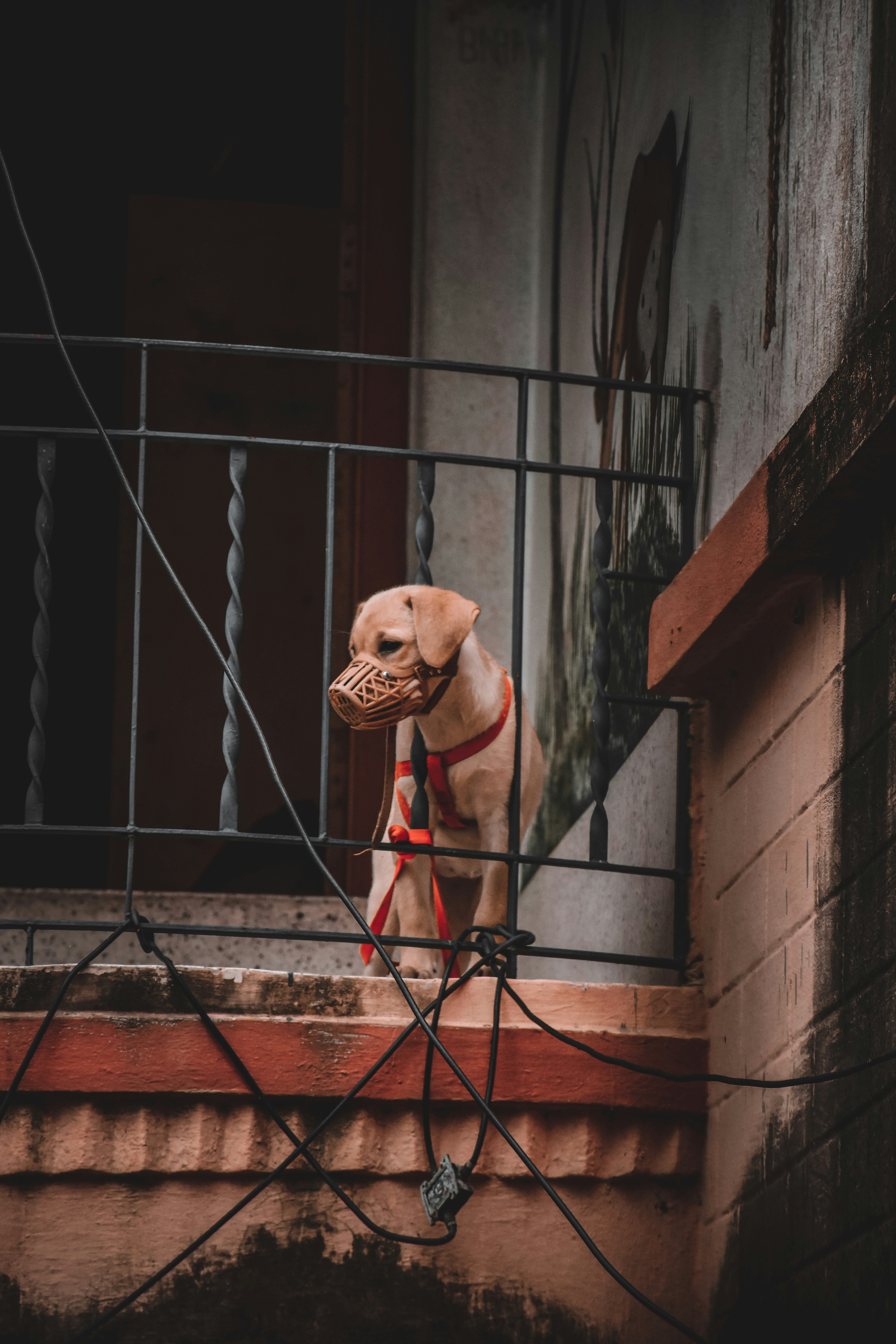 Photo by ankita_clicks