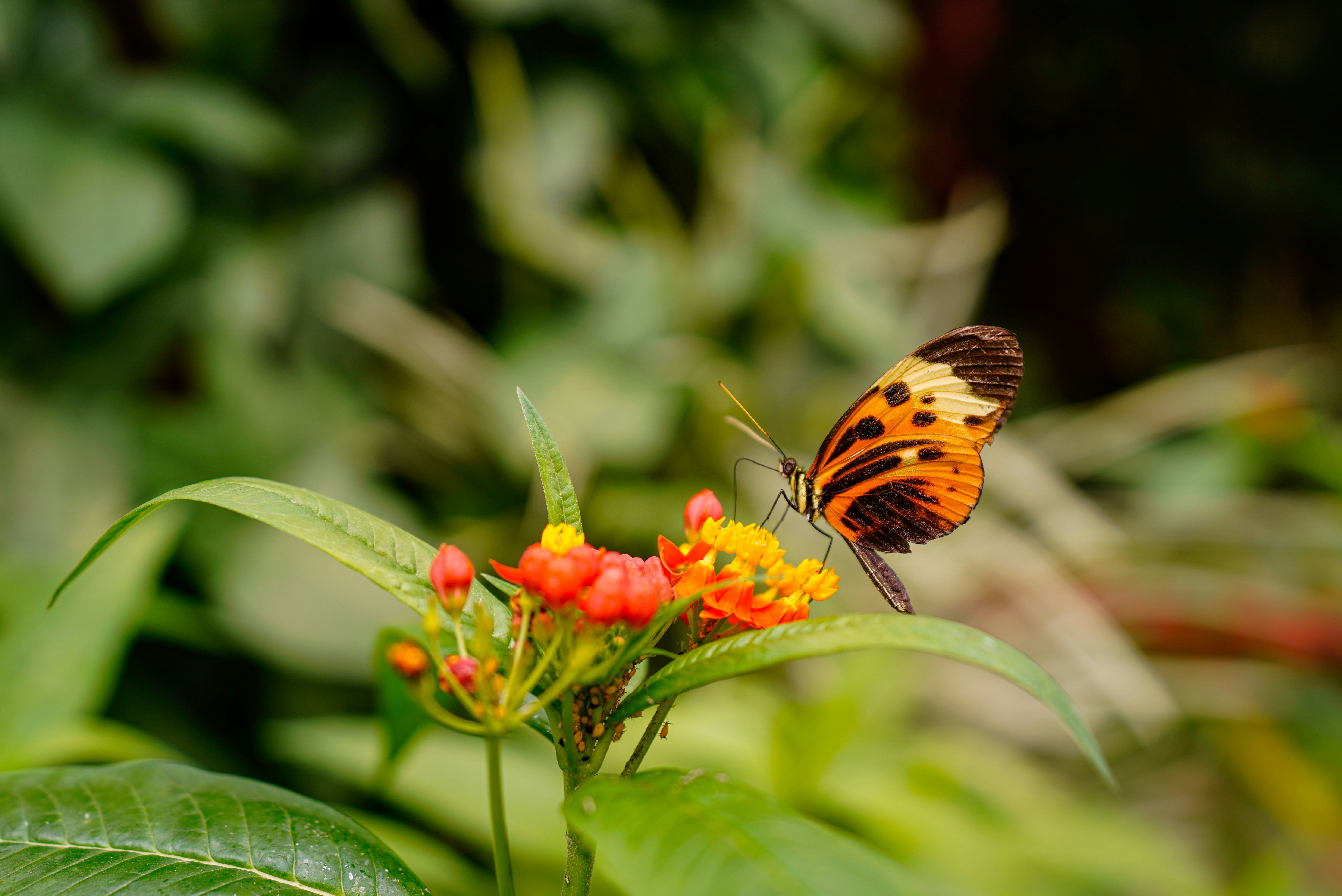 Photo by kiyoshi_jpg