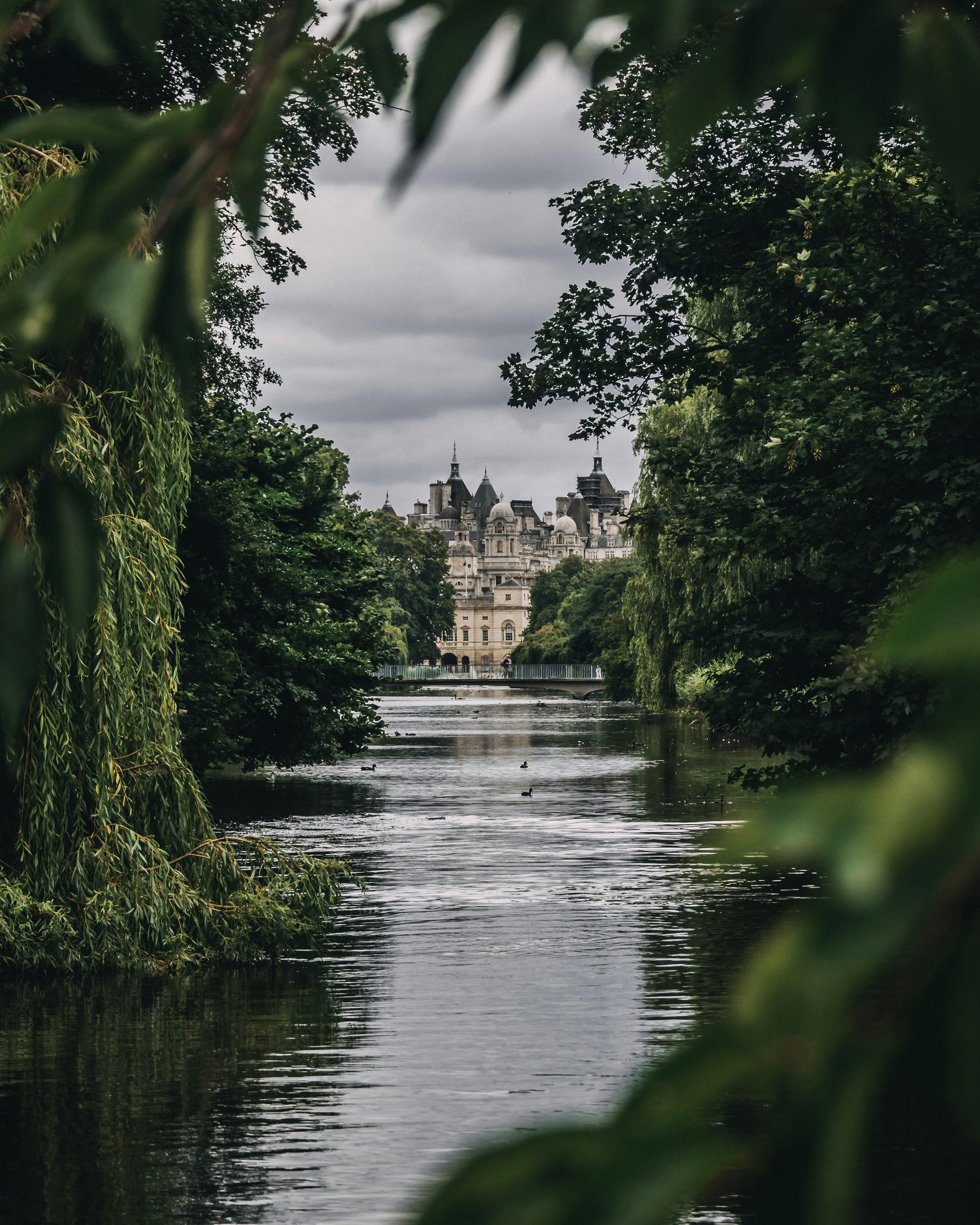 Photo by imgavinwilson