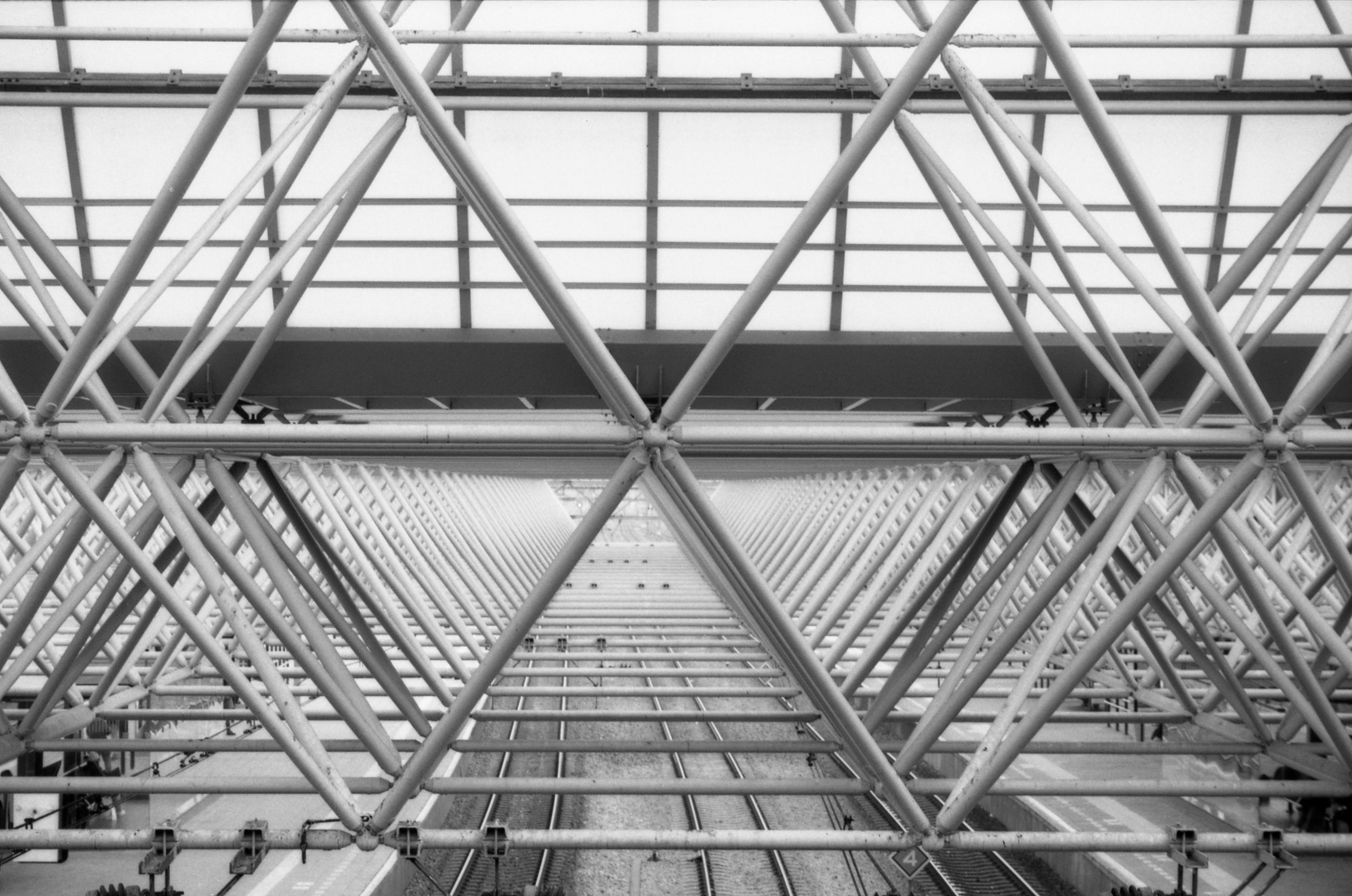 Photo by deannabosschert