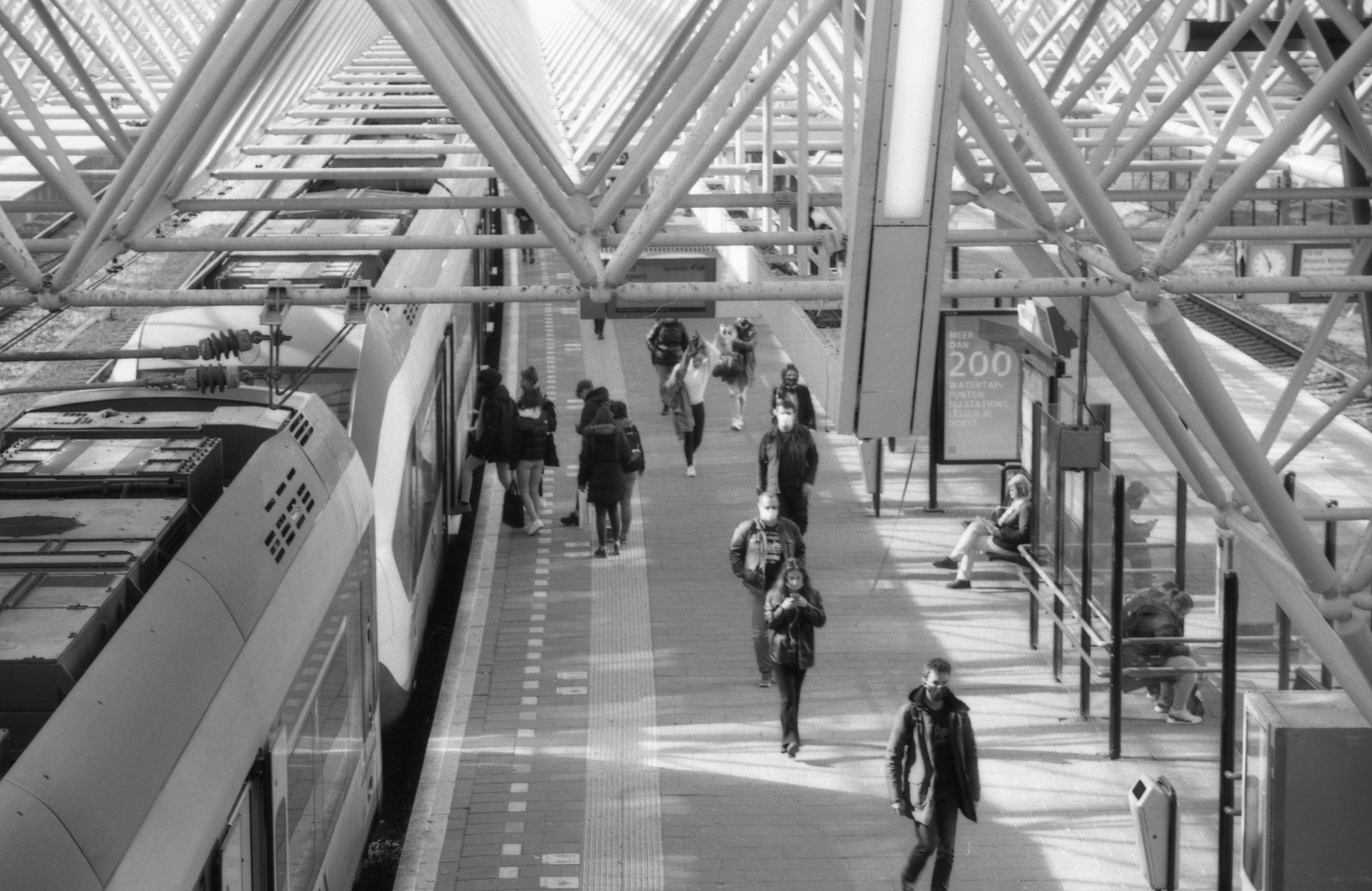 Photo by deannabosschert