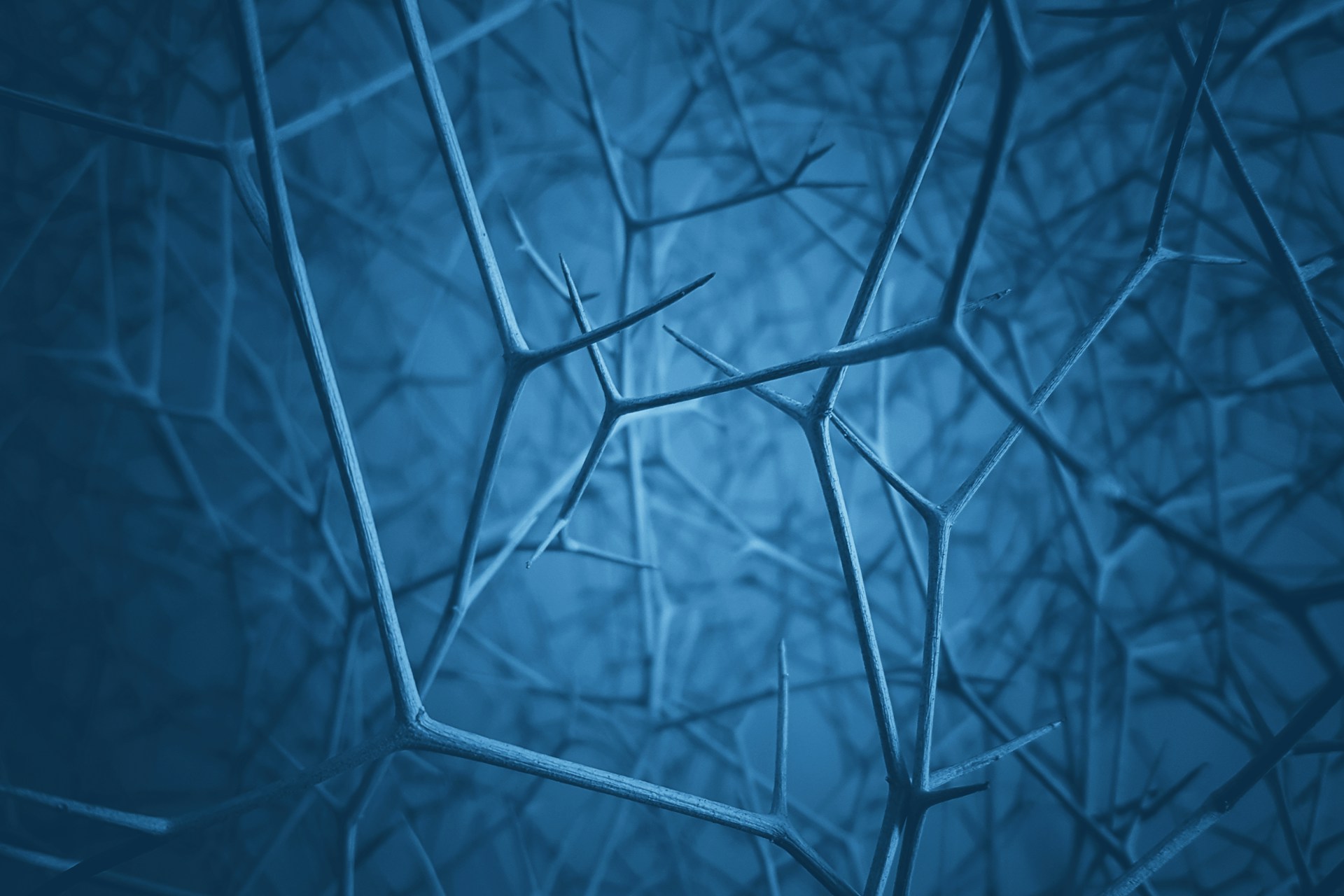 a blue background with a pattern of thin branches