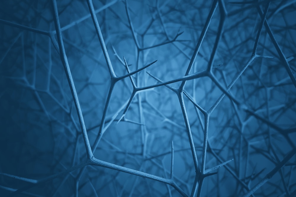 a blue background with a pattern of thin branches