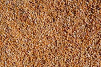 a close up of a bunch of grain