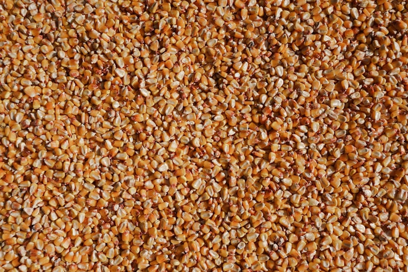 Millet