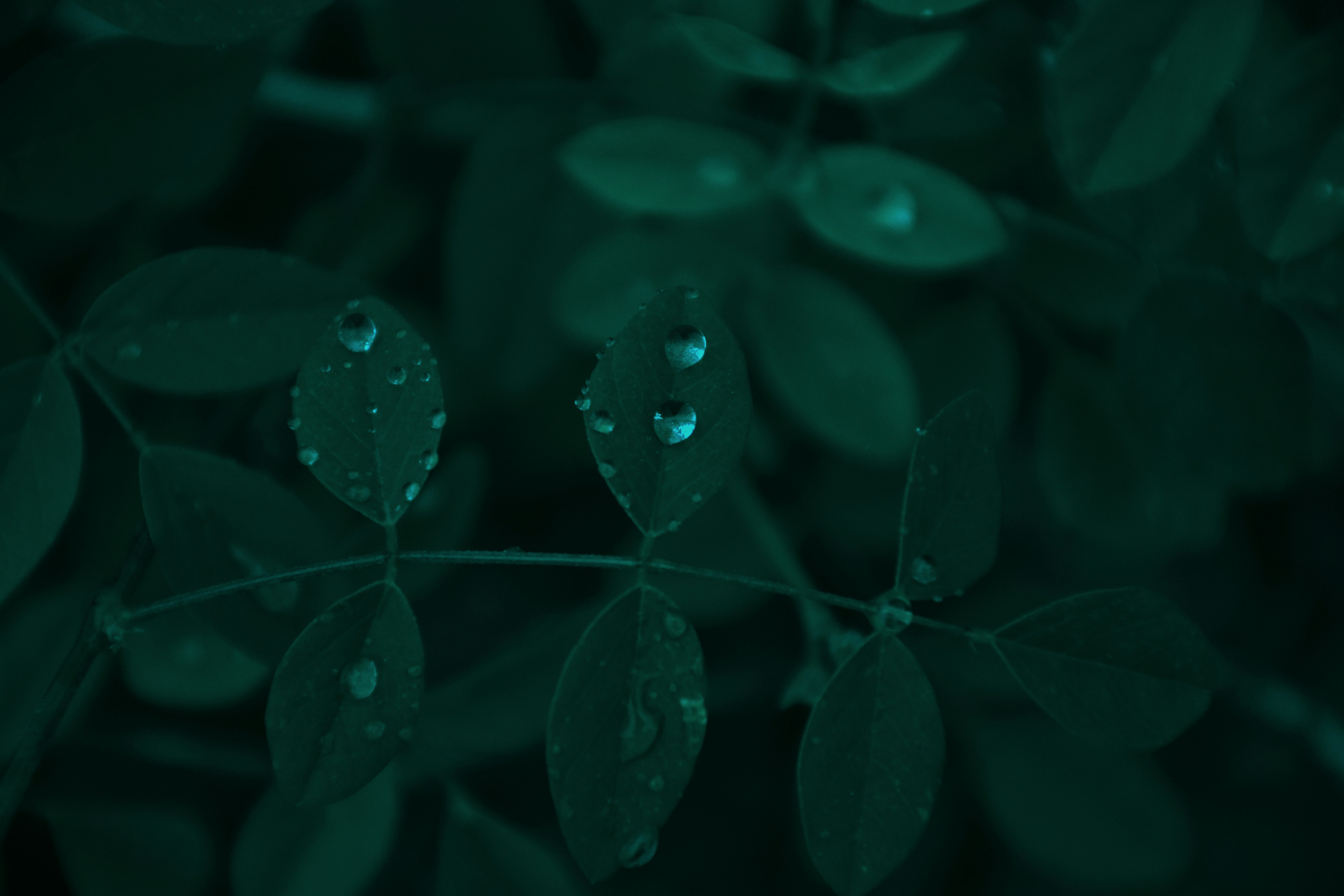 Photo by ankita_clicks