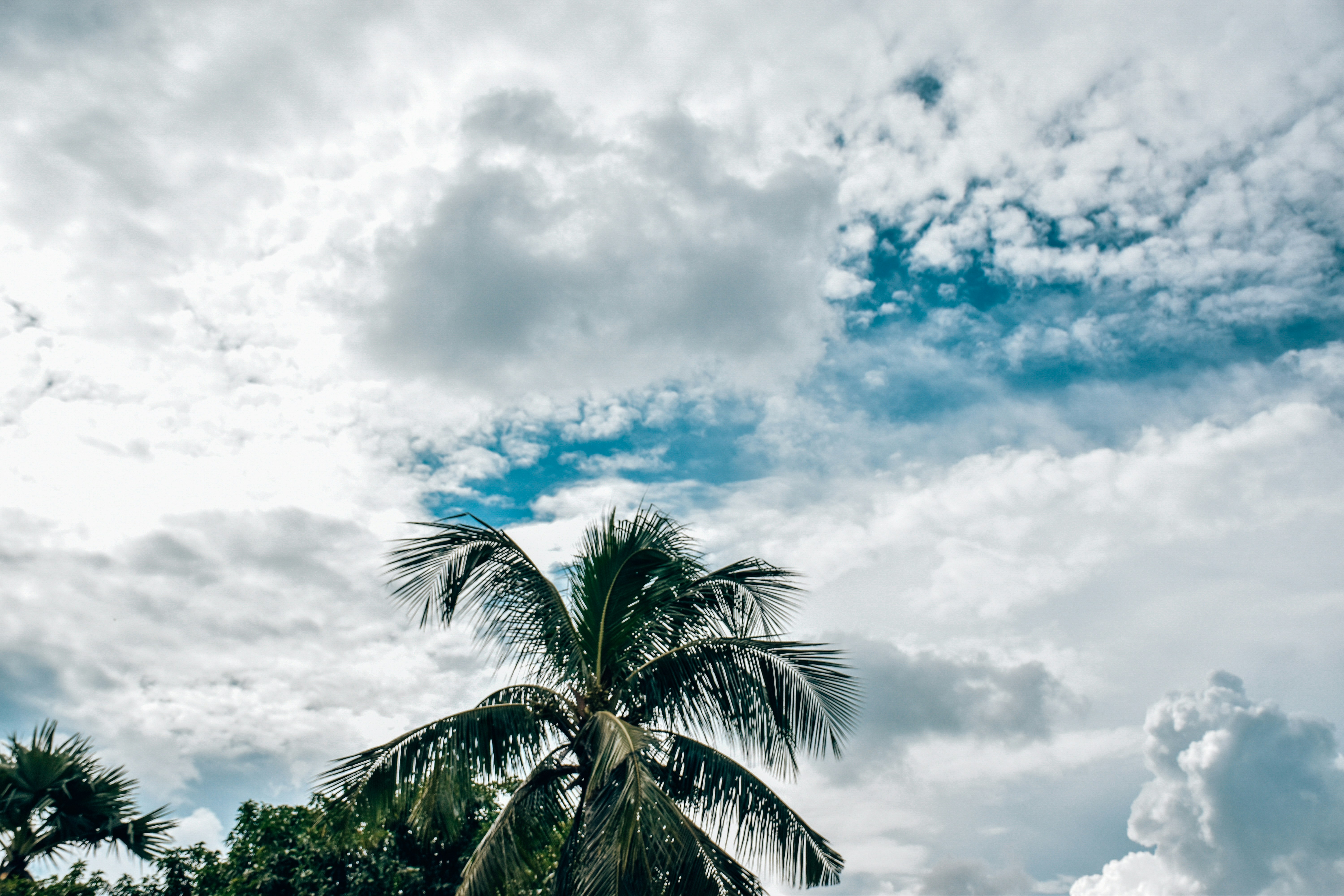 Photo by ankita_clicks