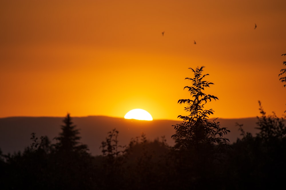 the sun is setting in the distance behind some trees