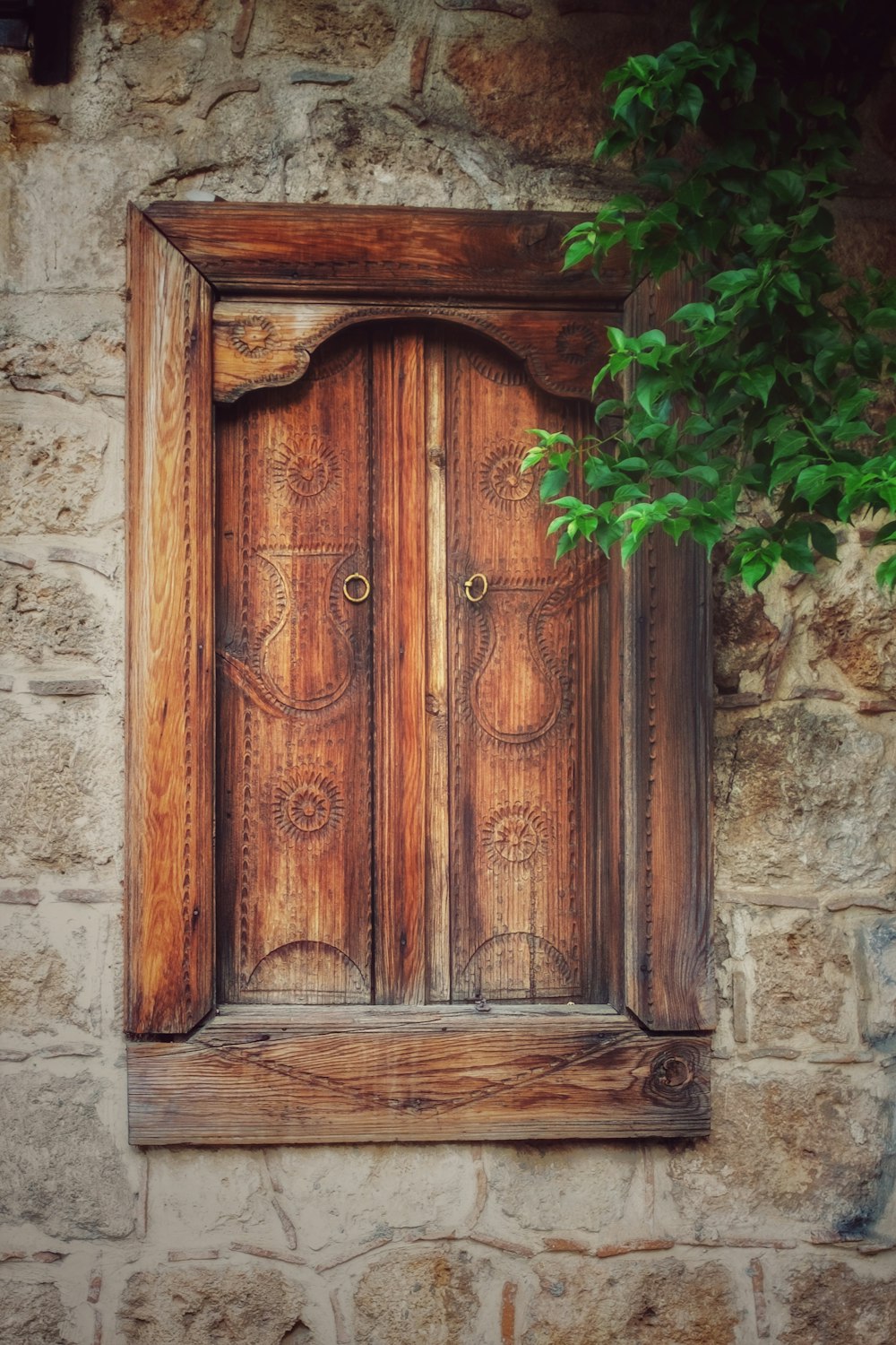 a wooden door with a plant in front of it