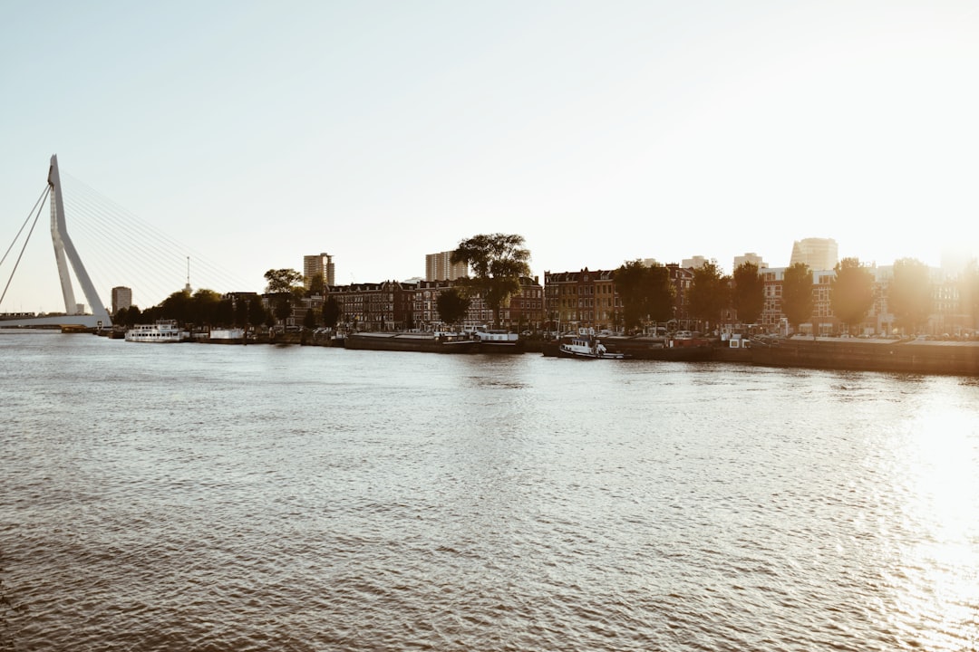 a body of water with a bridge in the background,