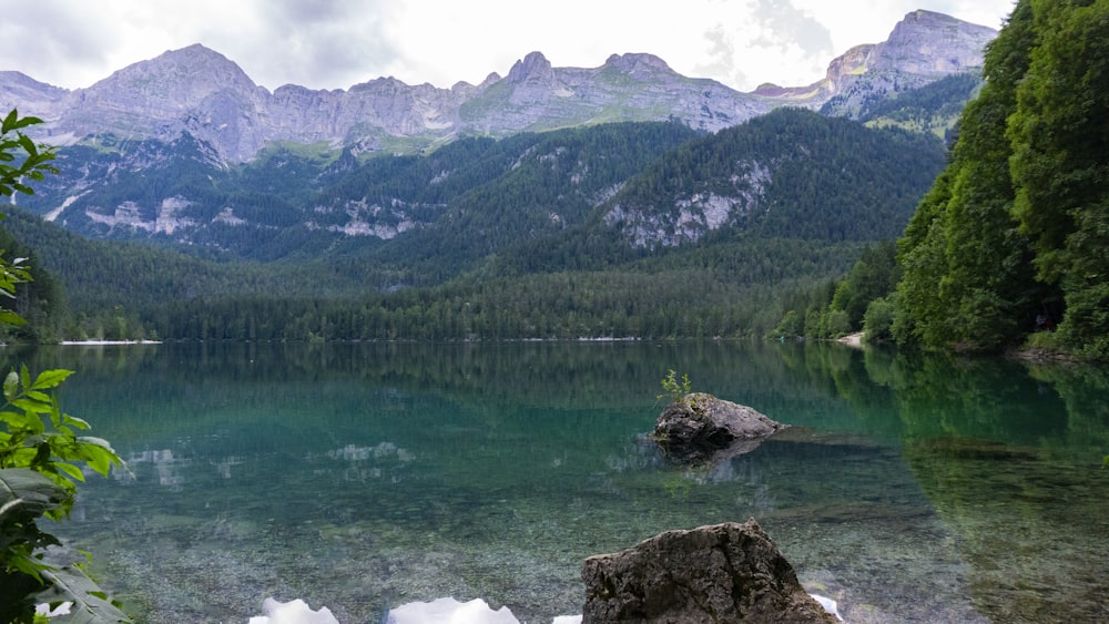 a body of water surrounded by mountains and trees