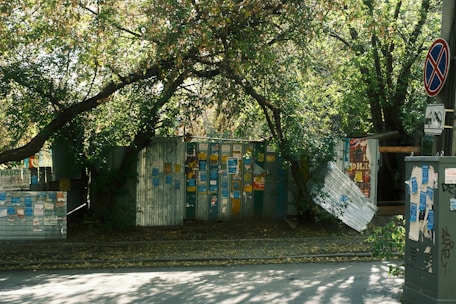 Posters and flyers cover corrugated metal fences surrounded by dense trees. The trees create a canopy overhead, with branches arching across the street. A no parking sign is attached to a utility pole nearby.