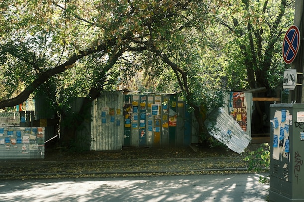 Posters and flyers cover corrugated metal fences surrounded by dense trees. The trees create a canopy overhead, with branches arching across the street. A no parking sign is attached to a utility pole nearby.