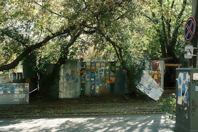 Posters and flyers cover corrugated metal fences surrounded by dense trees. The trees create a canopy overhead, with branches arching across the street. A no parking sign is attached to a utility pole nearby.