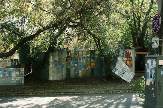 Posters and flyers cover corrugated metal fences surrounded by dense trees. The trees create a canopy overhead, with branches arching across the street. A no parking sign is attached to a utility pole nearby.