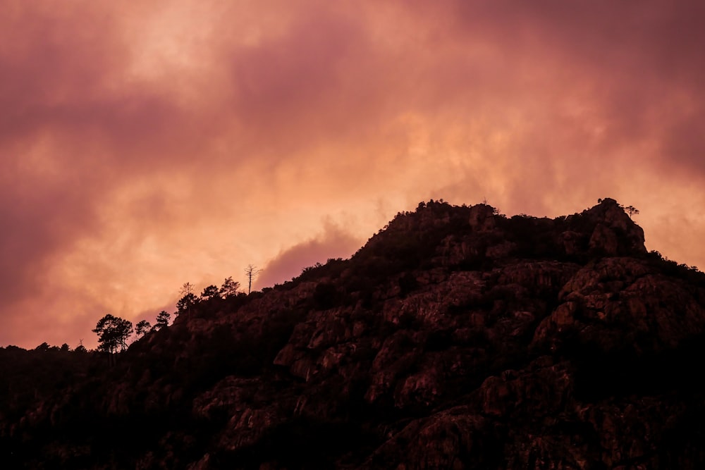 a hill with a tree on top of it under a cloudy sky