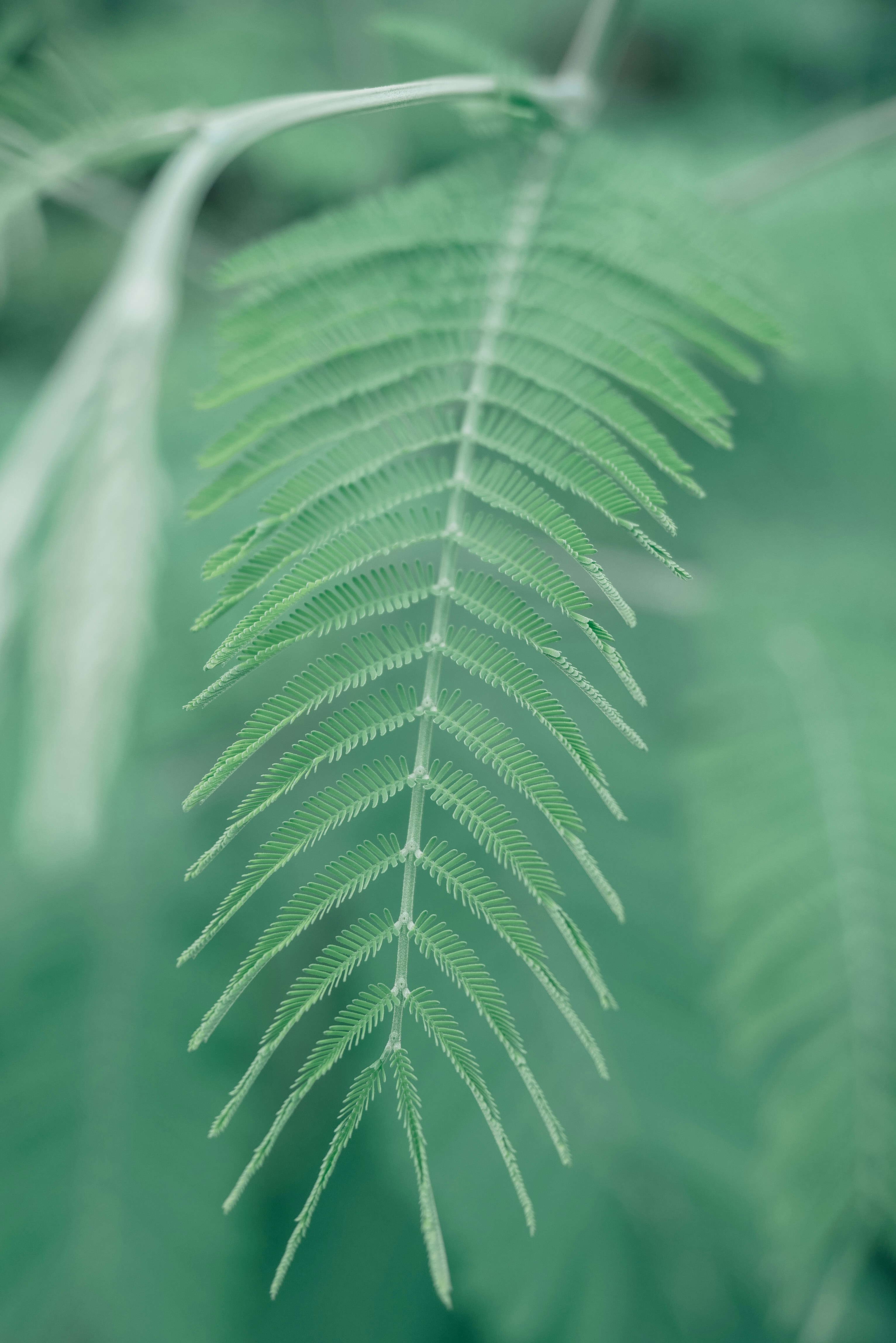 Photo by dermanuskript