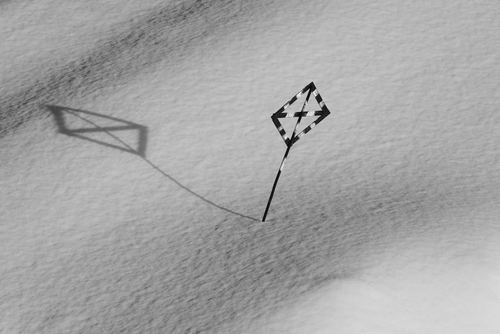 a black and white photo of a kite in the snow