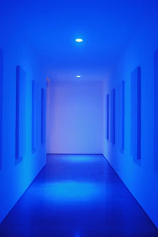 An elegant hallway bathed in natural light with minimalist décor and subtle gold touches.