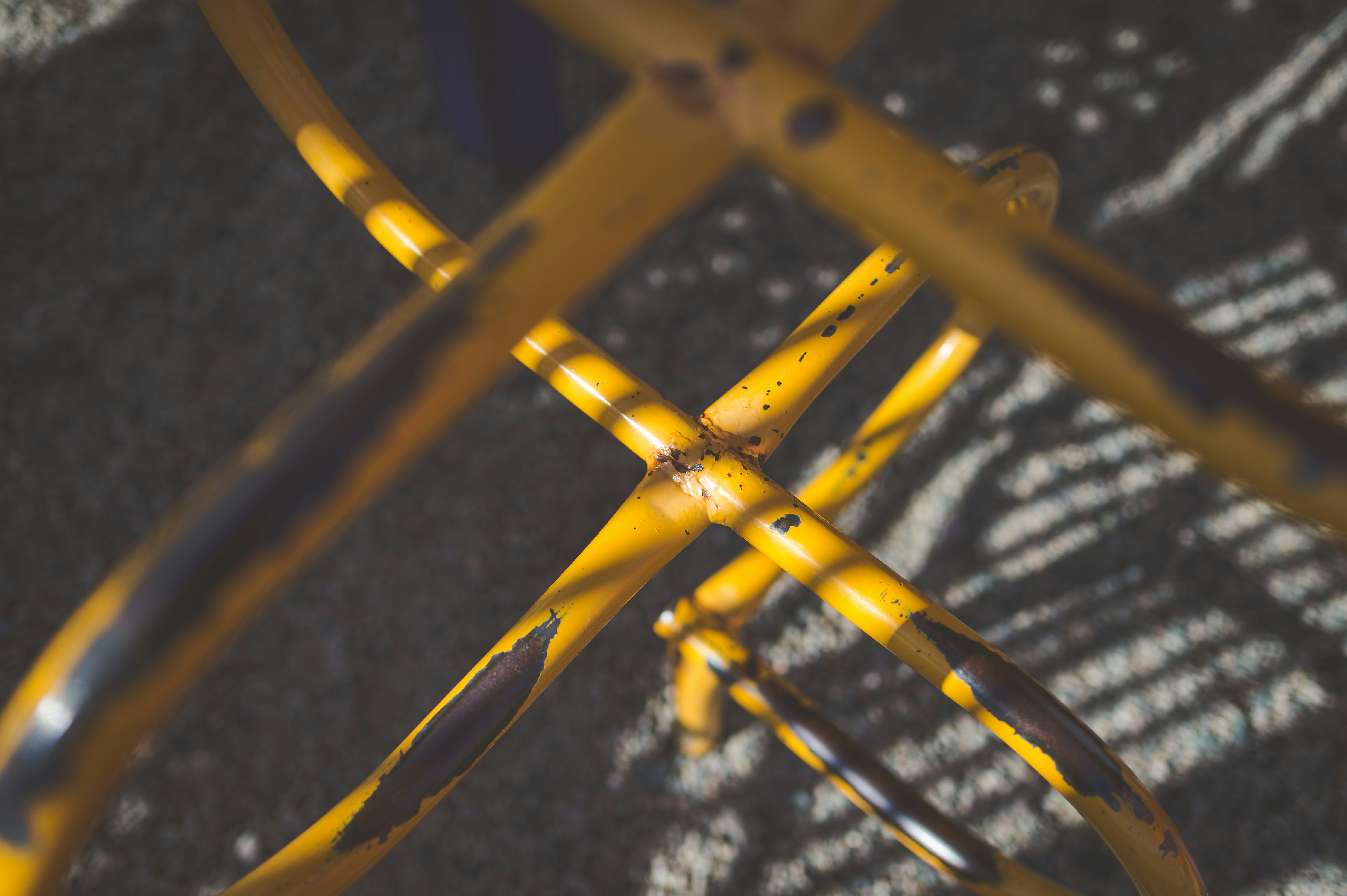 Photo by porkbellysteve