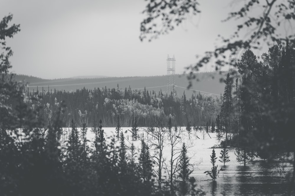 a black and white photo of a lake surrounded by trees