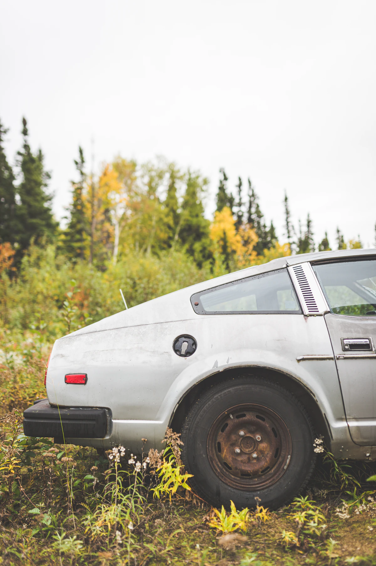 Every State’s Most Googled Car Safety Topics