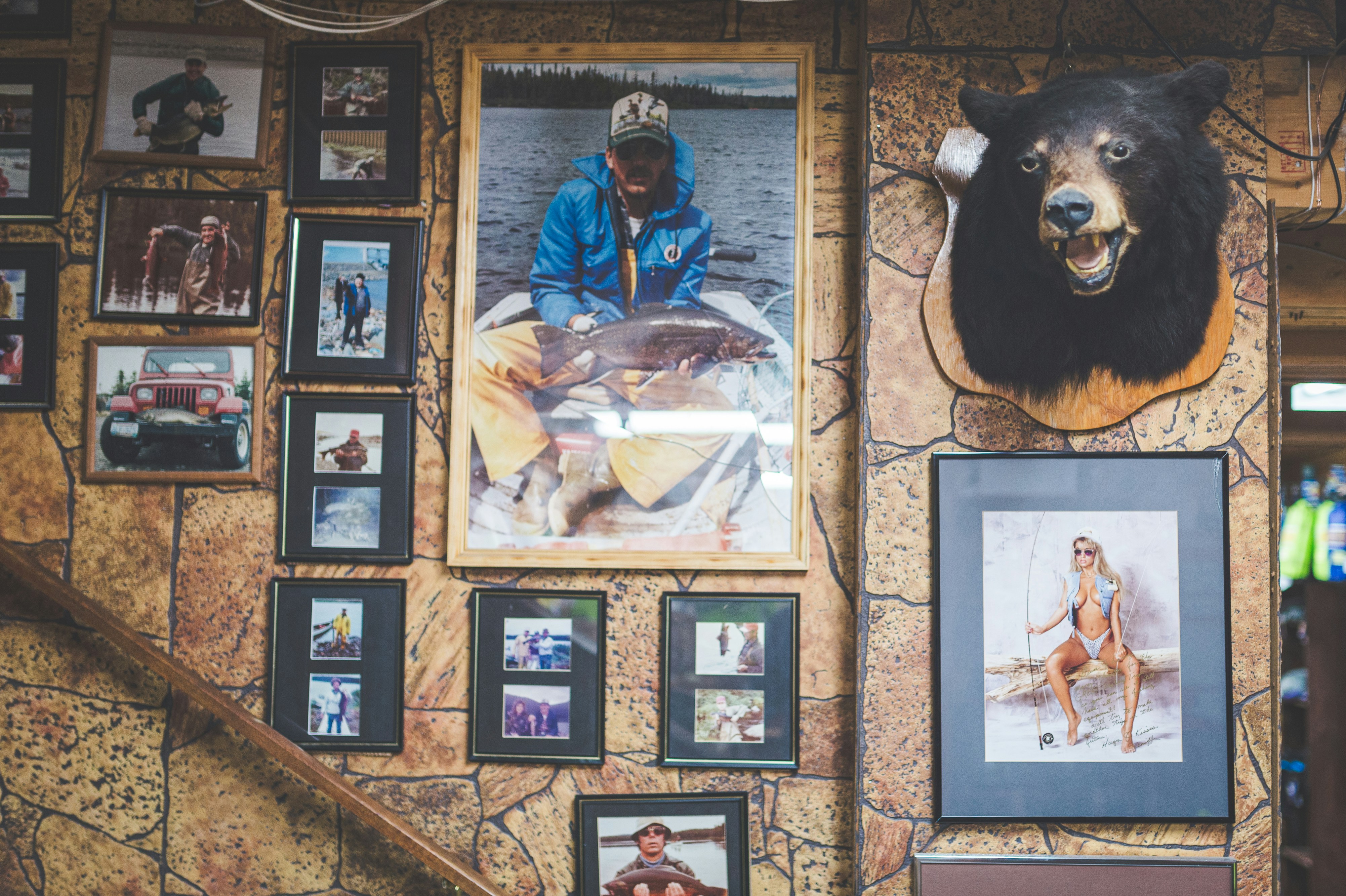 Una testa d'orso montata sul muro di un ristorante