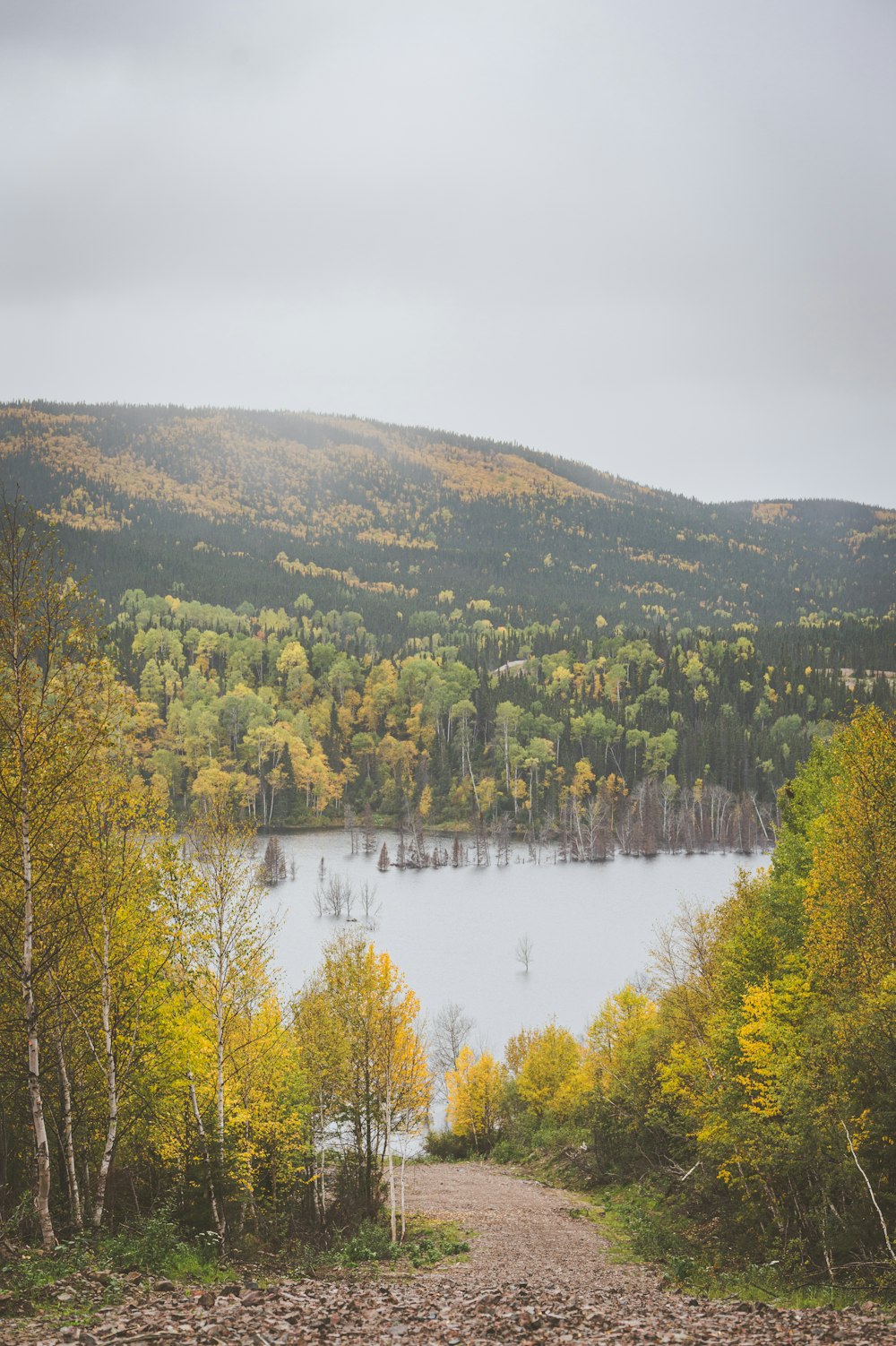 a scenic view of a lake surrounded by trees