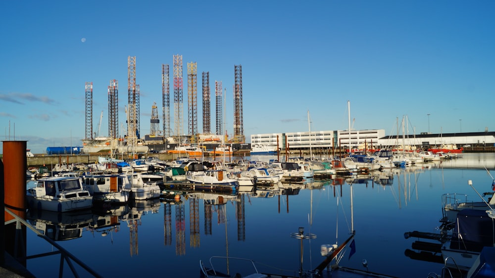 a marina filled with lots of boats under a blue sky