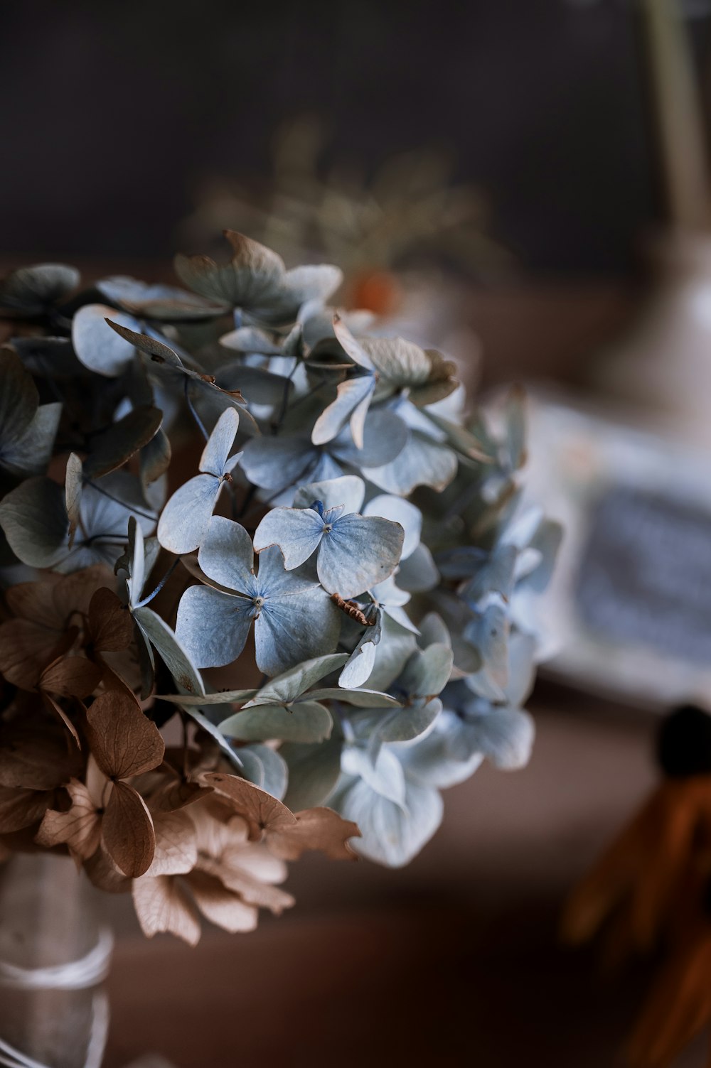 a vase filled with blue flowers on top of a table