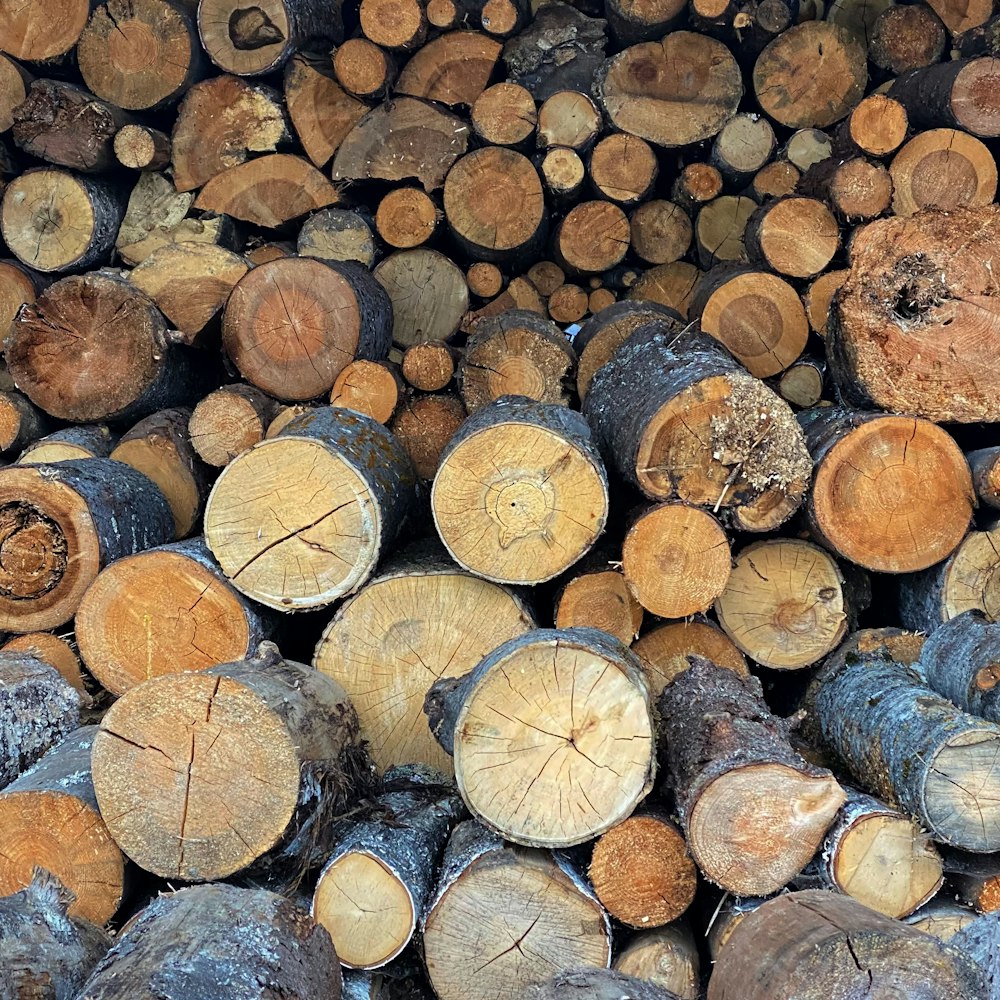 a pile of cut logs stacked on top of each other