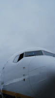 Close-up of an aircraft's nose cutting through a soft misty sky at dawn.