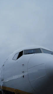 Close-up of an aircraft's nose cutting through a soft misty sky at dawn.