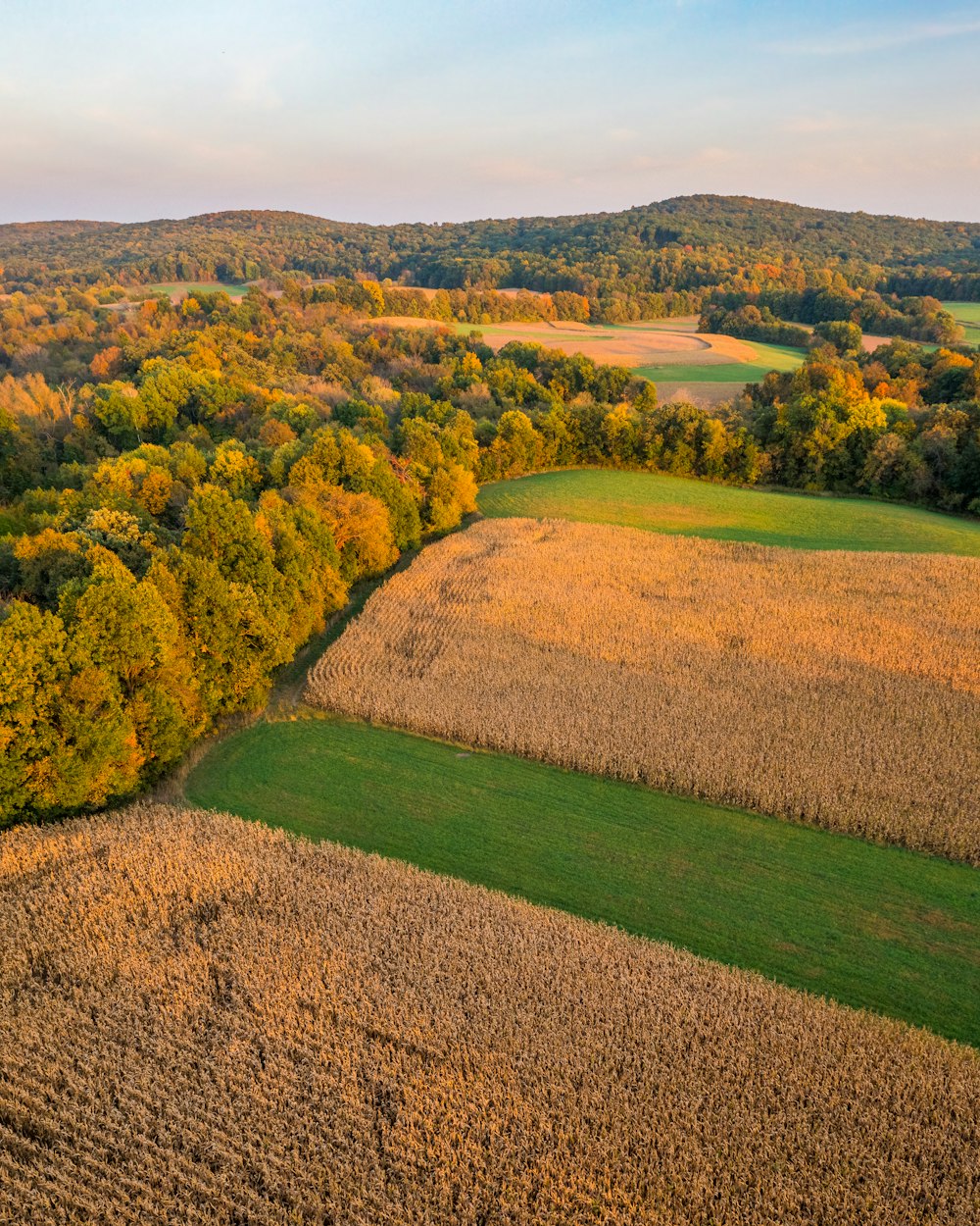 an aerial view of a field with trees in the background
