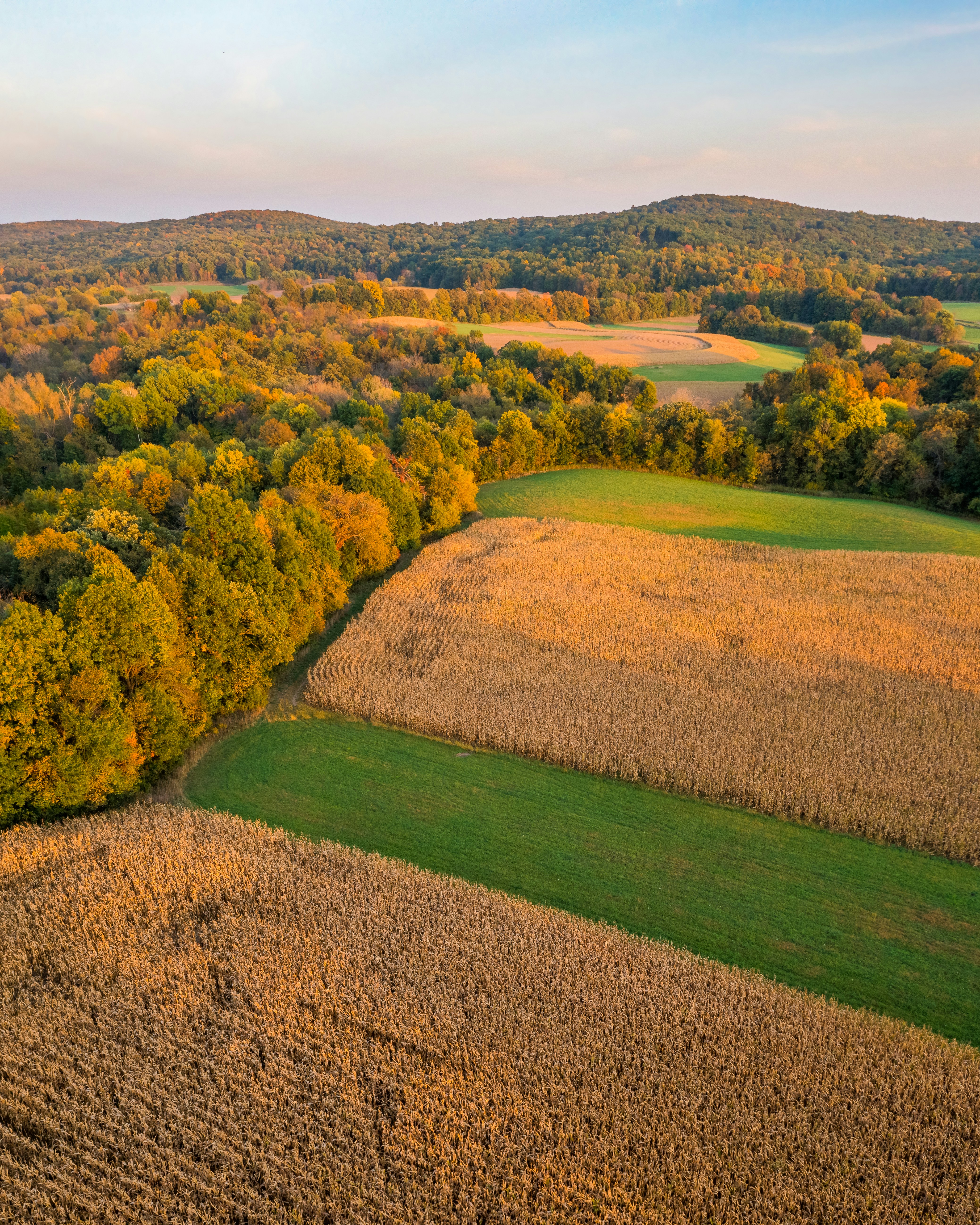 an aerial view of a field with trees in the background