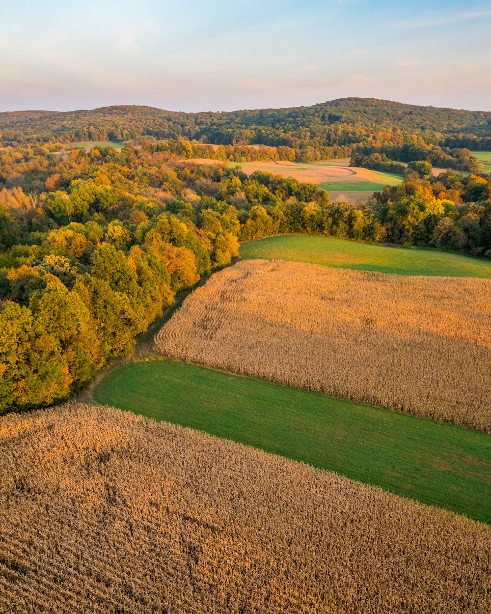 une vue aérienne d’un champ avec des arbres en arrière-plan