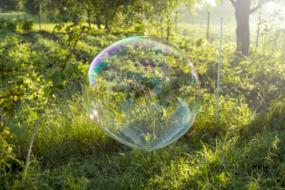 a bubble floating in the air in a field