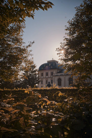 A stately family home with mature trees, bathed in warm afternoon light, symbolizing stability and heritage.