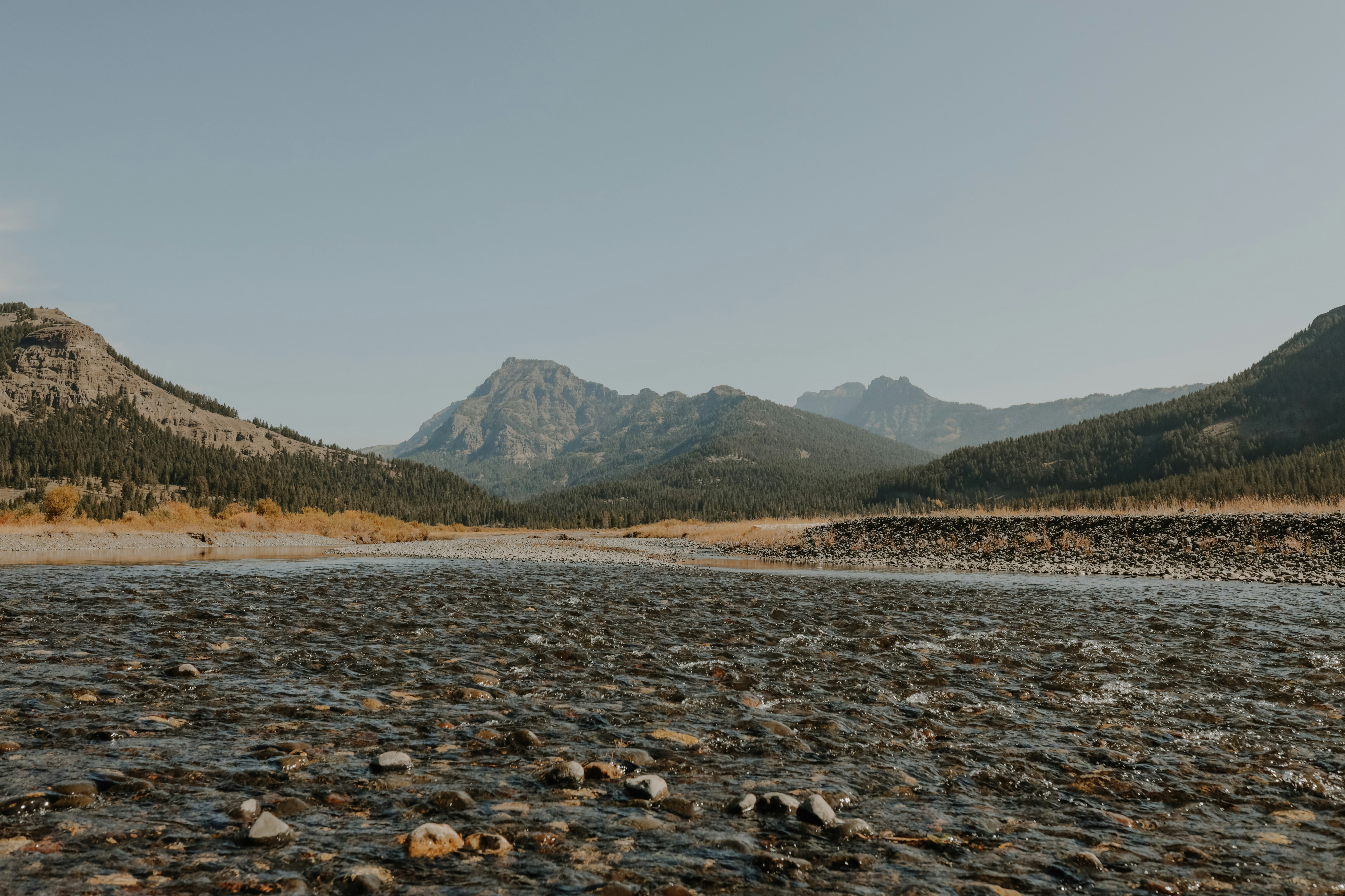 Photo by williamking_