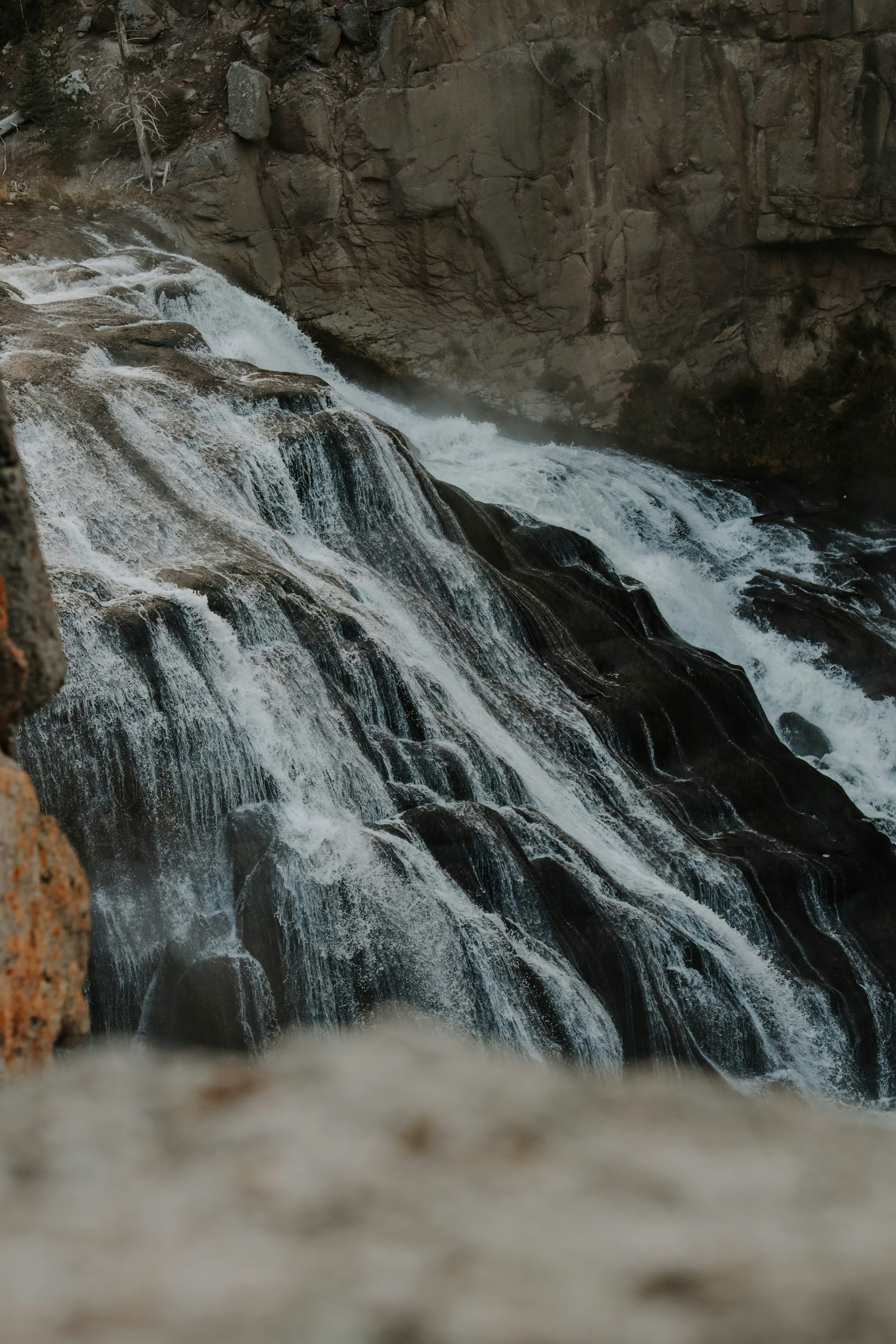 Photo by williamking_