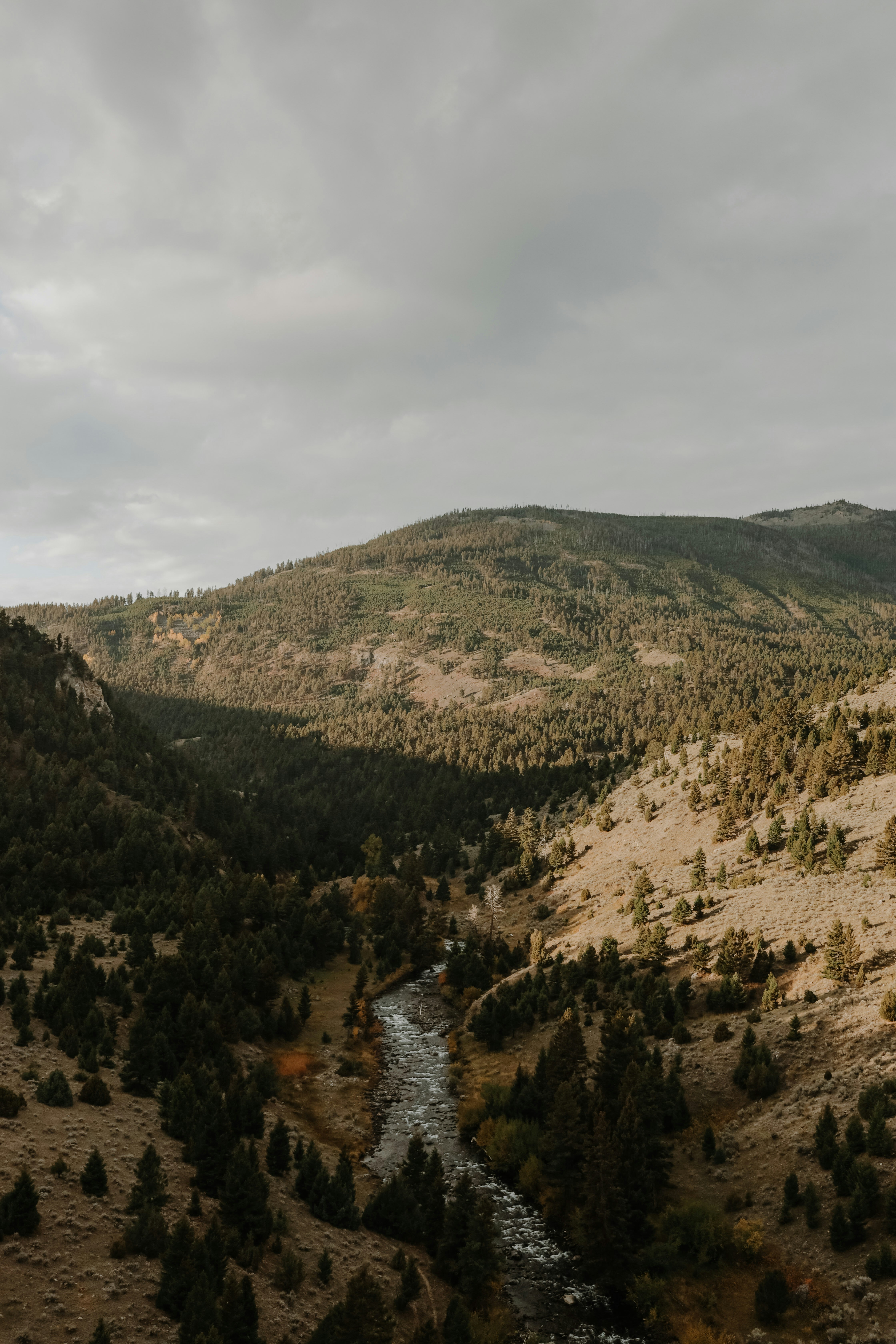 Photo by williamking_