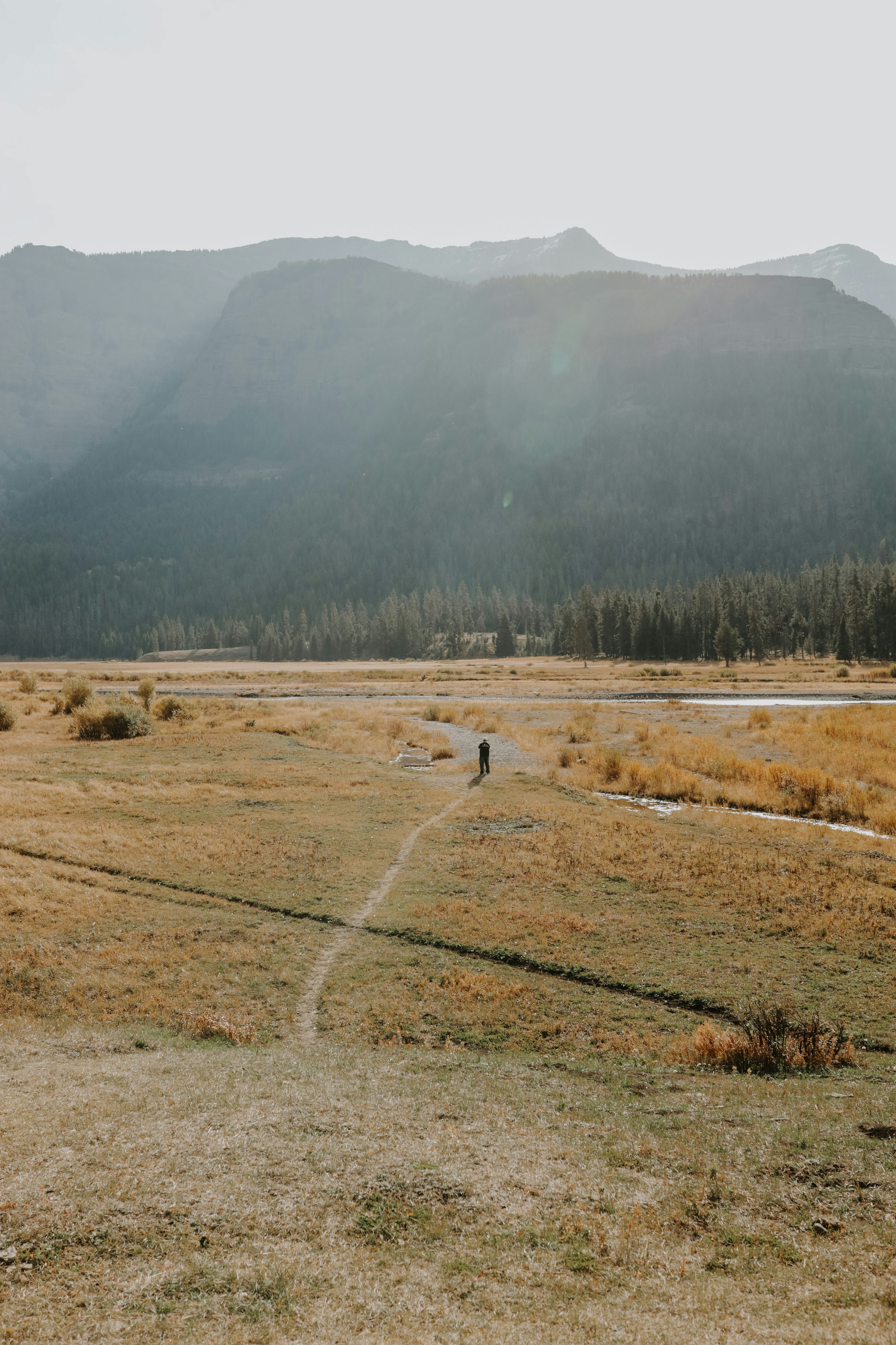 Photo by williamking_