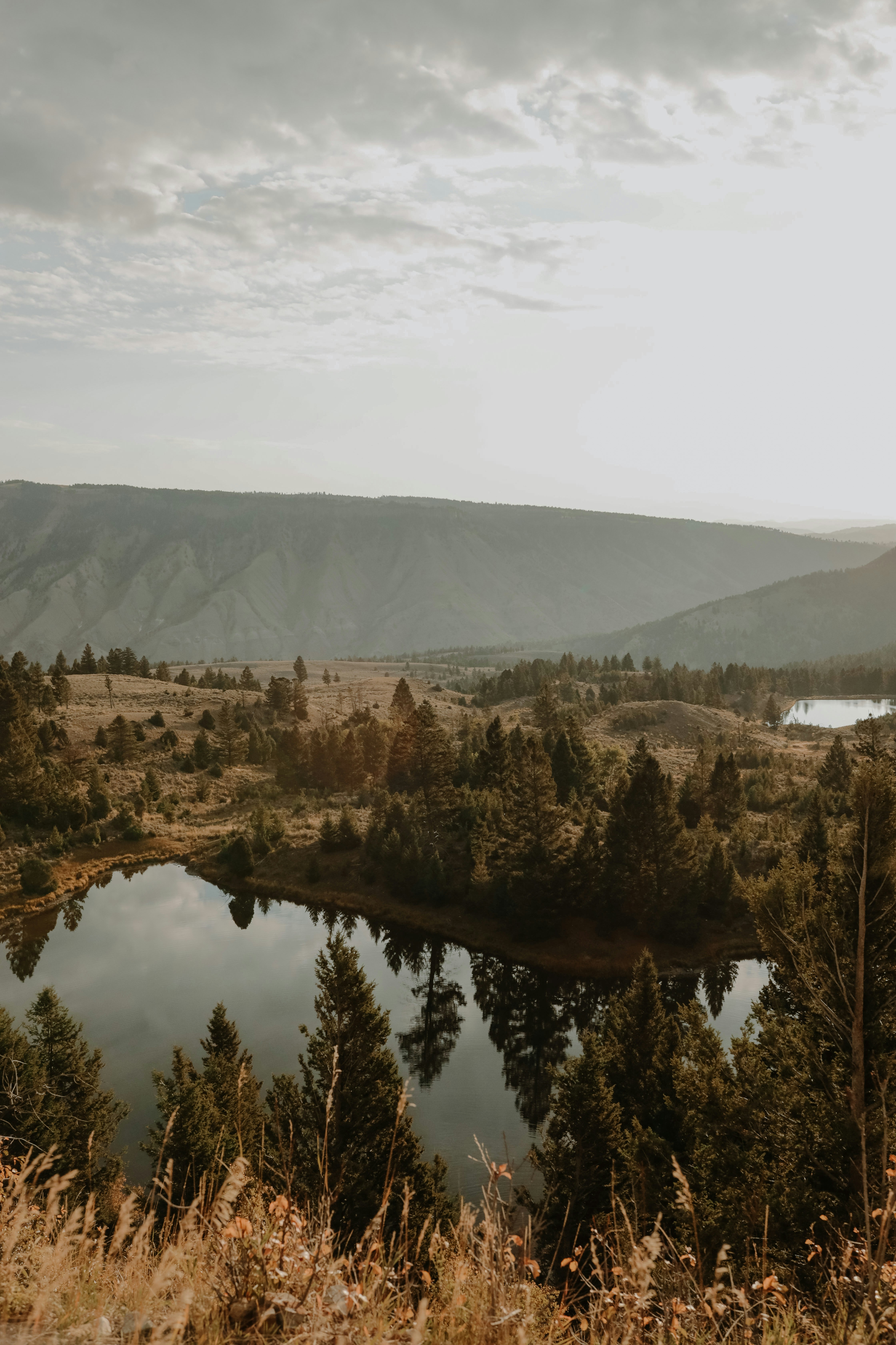 Photo by williamking_