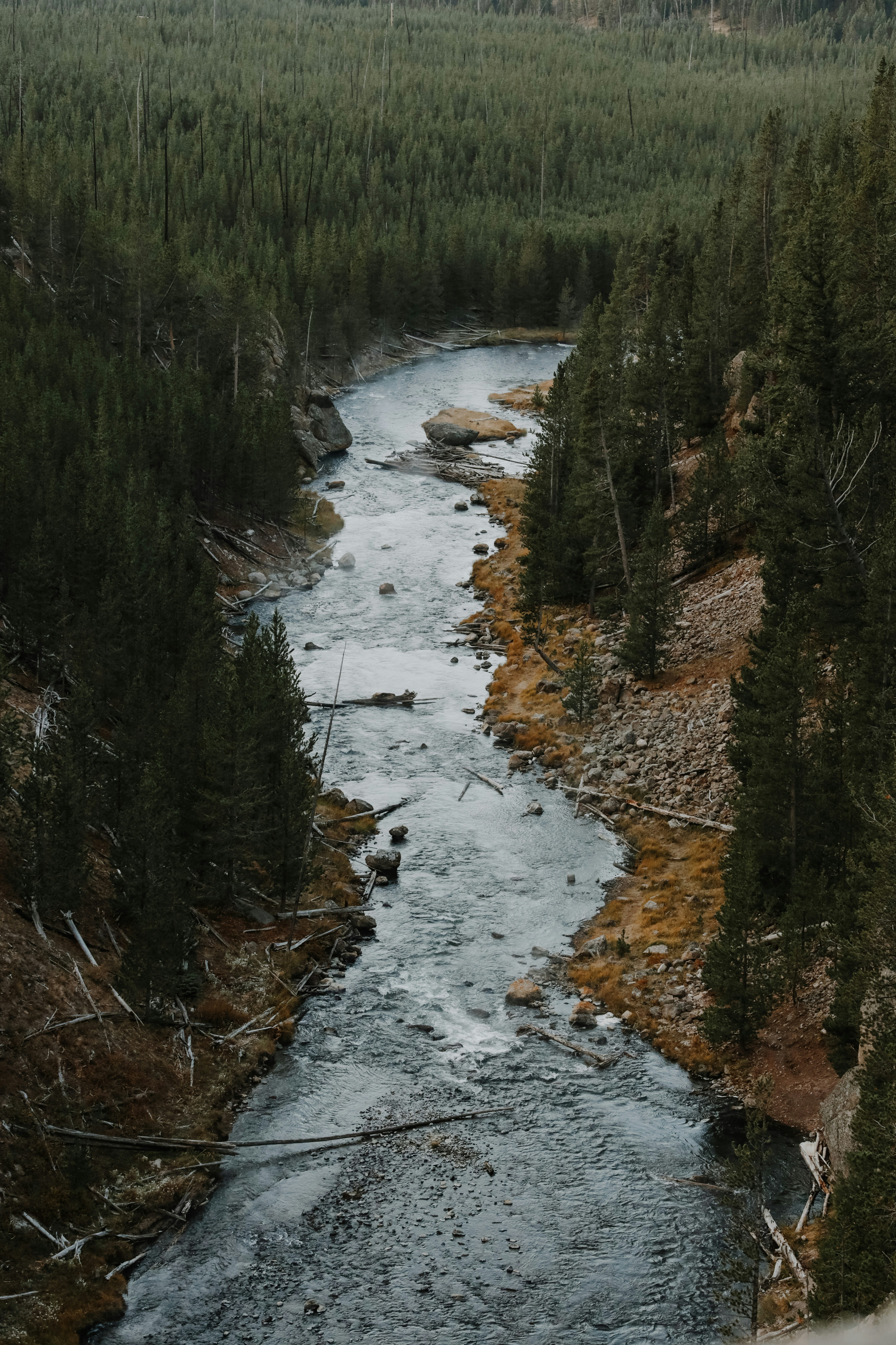 Photo by williamking_