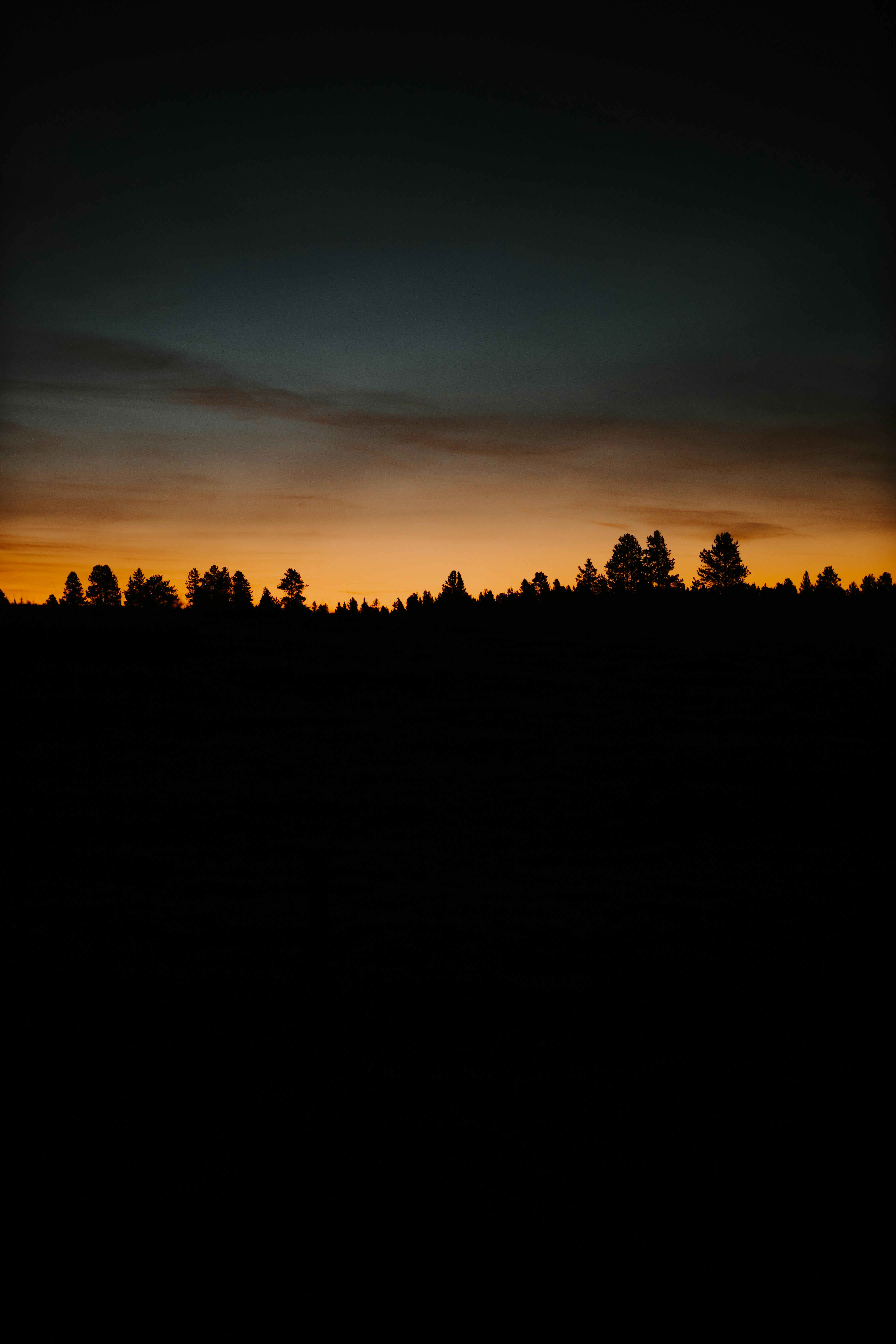 Photo by williamking_