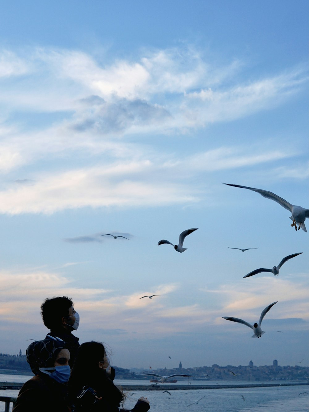 a group of birds flying over a body of water