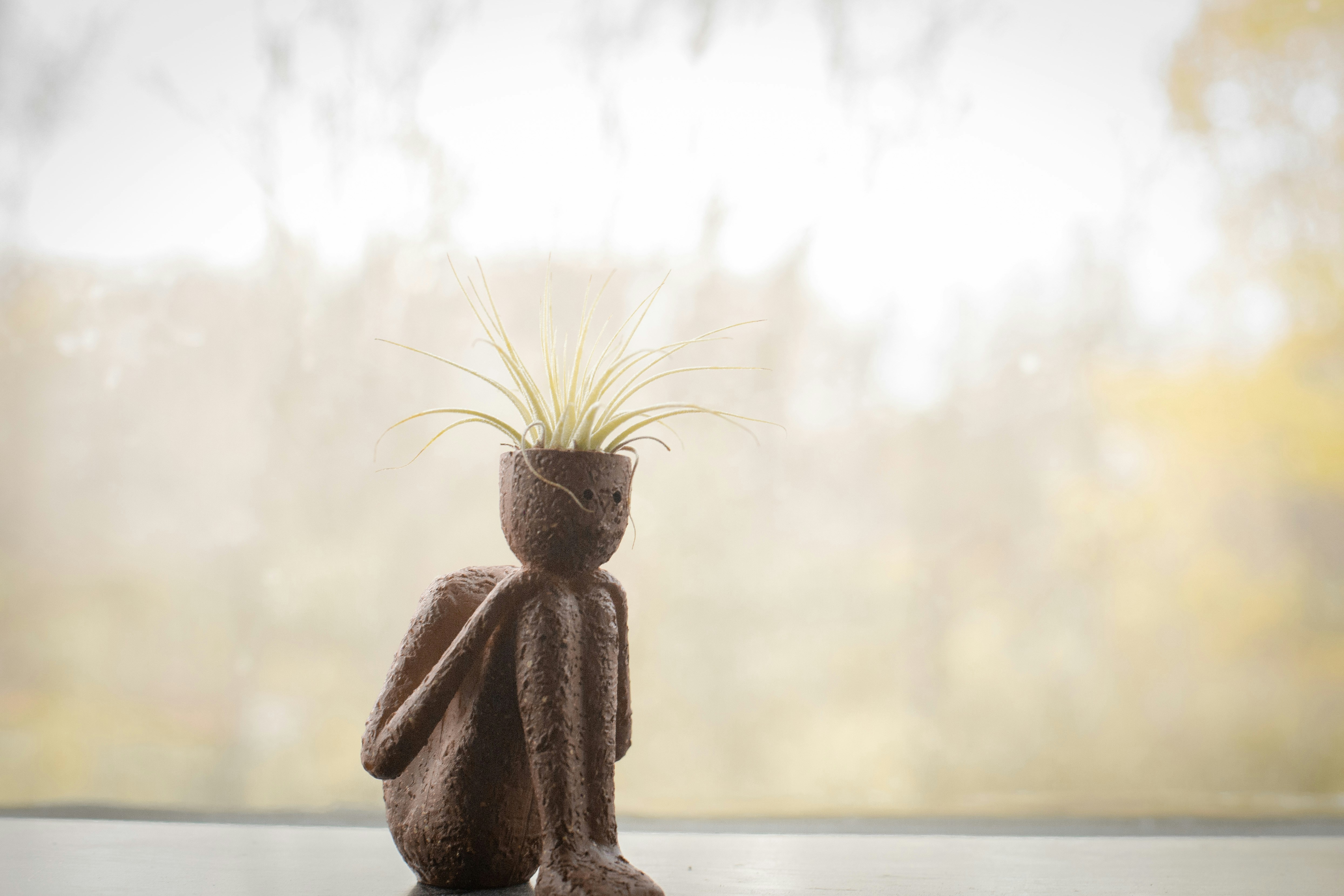 a brown teddy bear with a plant in it's head